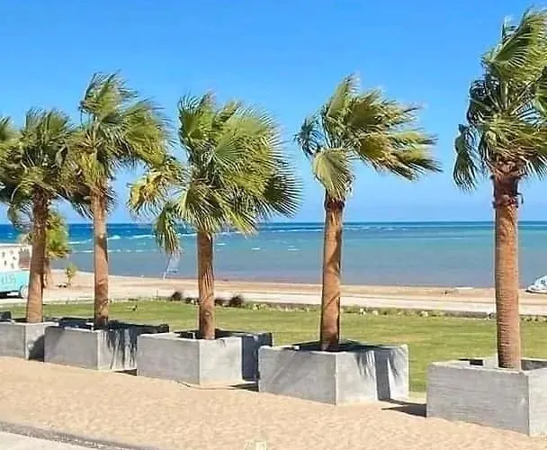 Selena Bay